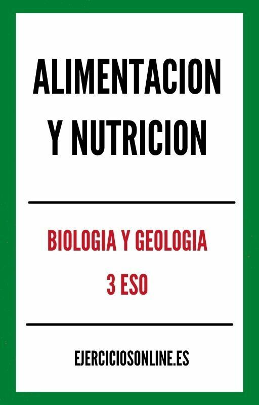 Ejercicios de Alimentacion Y Nutricion 3 ESO PDF 