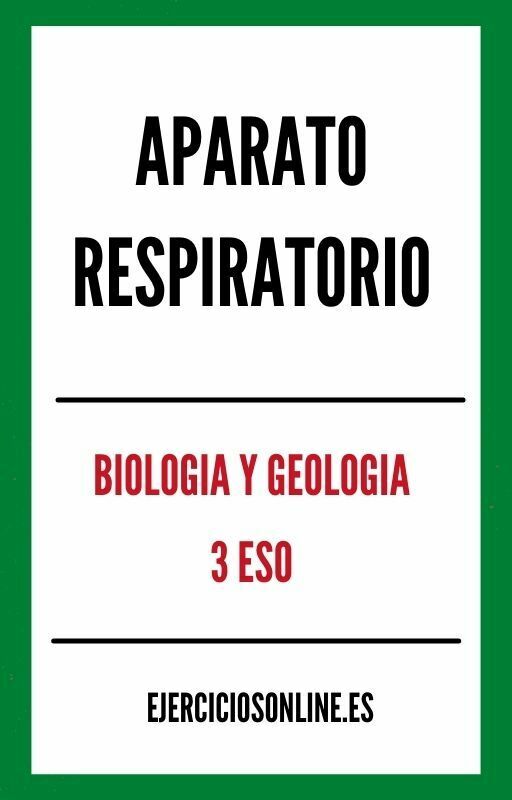 Aparato Respiratorio 3 ESO Ejercicios en PDF 