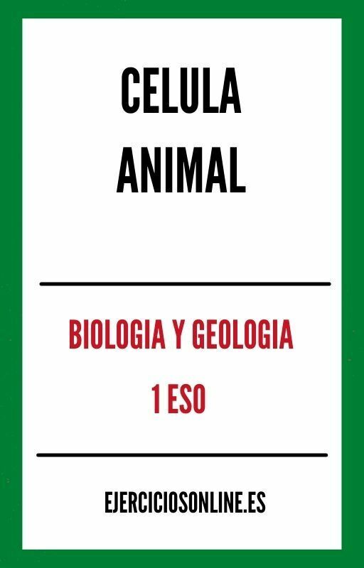 Celula Animal 1 ESO Ejercicios PDF 