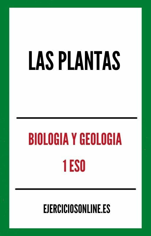 Las Plantas 1 ESO Ejercicios en PDF 