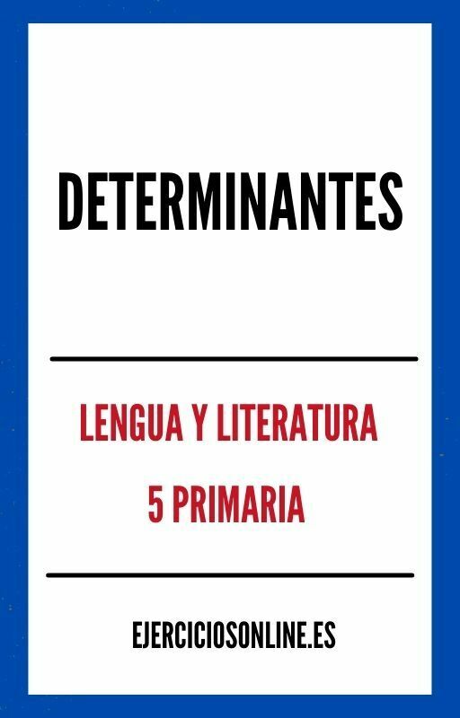 Determinantes 5 Primaria Ejercicios en PDF 