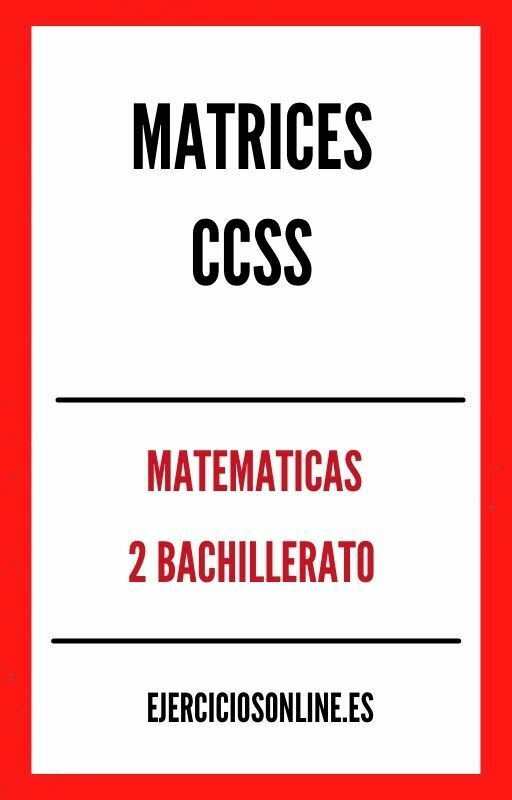 Matrices Ccss 2 Bachillerato Ejercicios en PDF 