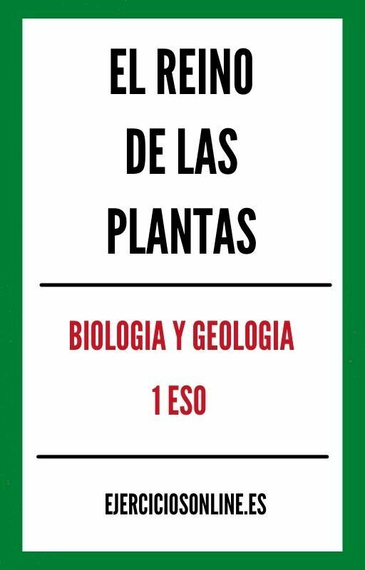 Ejercicios PDF de El Reino De Las Plantas 1 ESO 