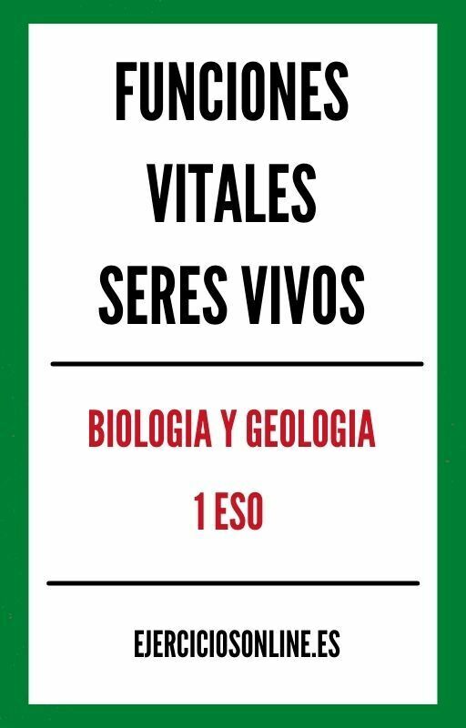 Funciones Vitales De Los Seres Vivos 1 ESO Ejercicios PDF 