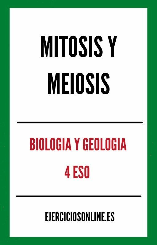 Ejercicios de Mitosis Y Meiosis 4 ESO PDF 