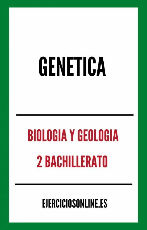 Genetica 2 Bachillerato Ejercicios PDF 