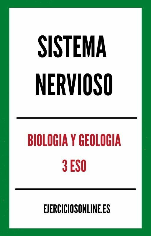 Sistema Nervioso 3 ESO Ejercicios PDF 